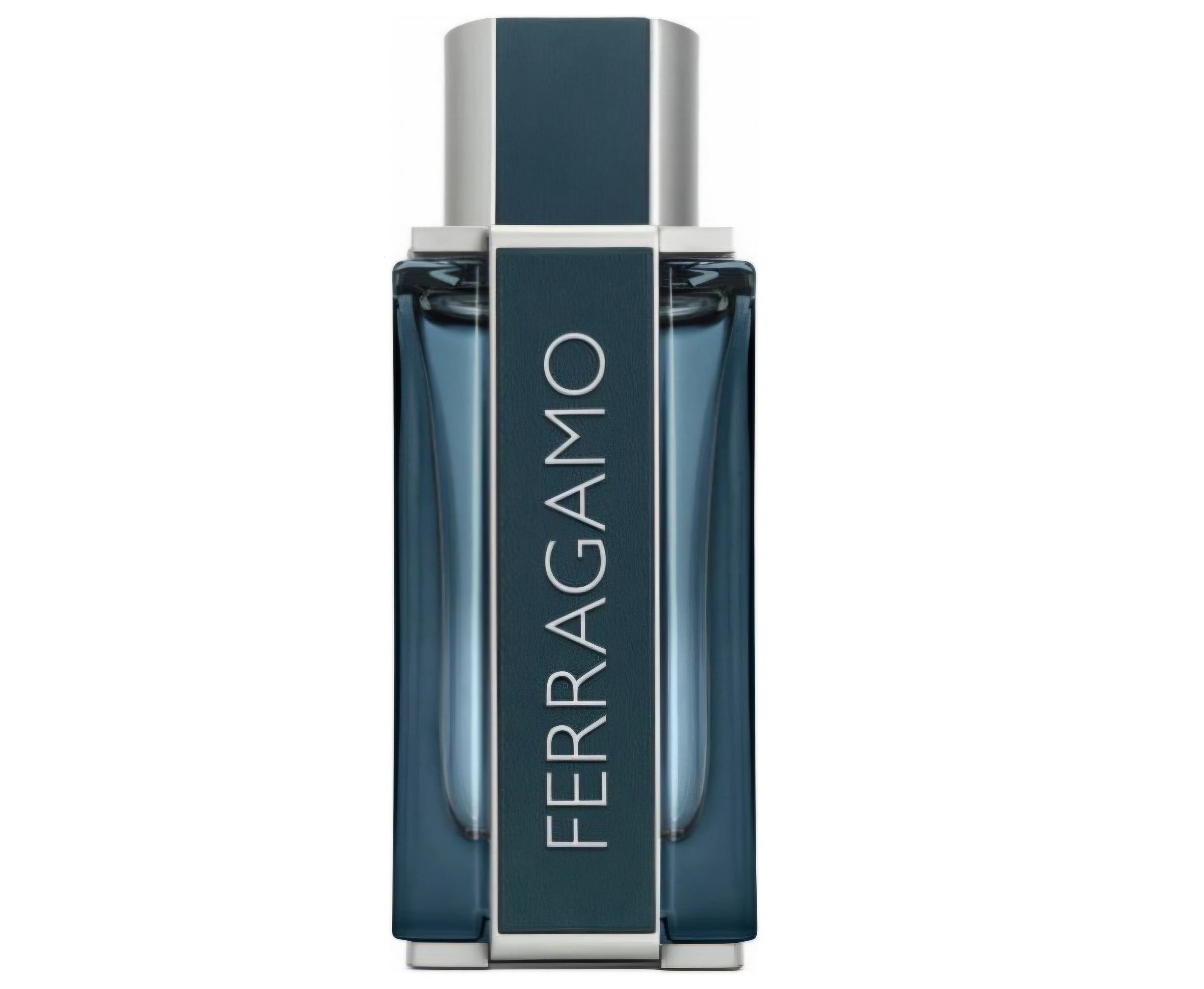 Ferragamo Intense Leather – Salvatore Ferragamo